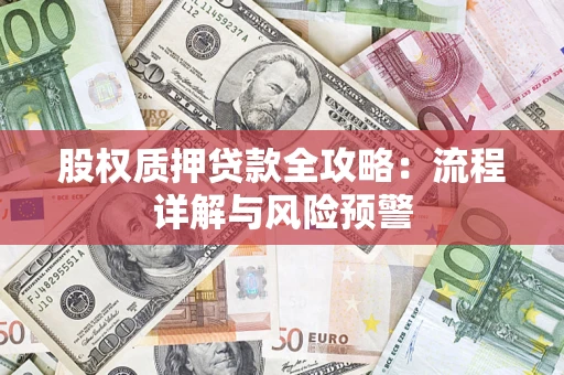 武汉股权质押贷款全攻略：流程详解与风险预警