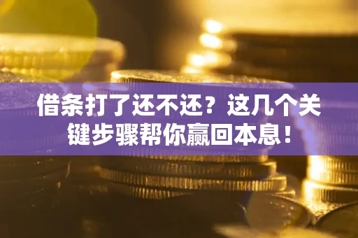 武汉借条打了还不还？这几个关键步骤帮你赢回本息！
