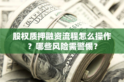 武汉股权质押融资流程怎么操作？哪些风险需警惕？