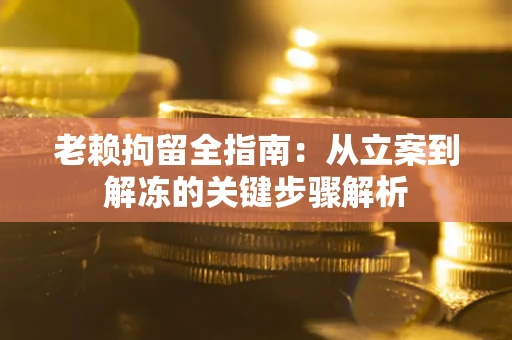 武汉老赖拘留全指南：从立案到解冻的关键步骤解析