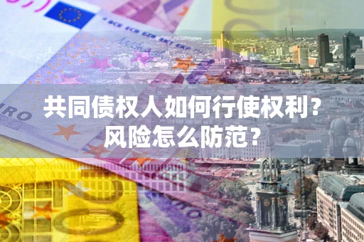 武汉共同债权人如何行使权利？风险怎么防范？