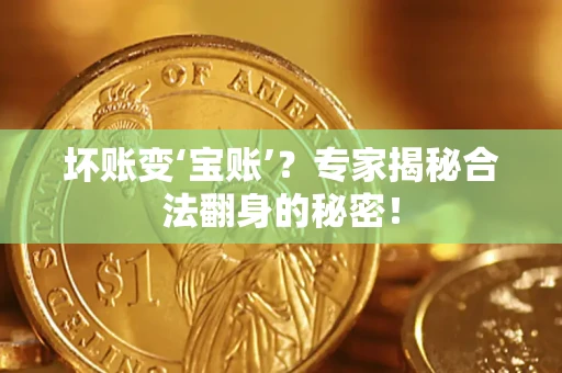 武汉坏账变‘宝账’？专家揭秘合法翻身的秘密！