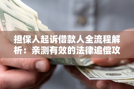 武汉担保人起诉借款人全流程解析：亲测有效的法律追偿攻略