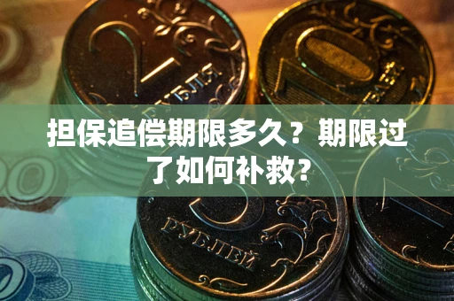武汉担保追偿期限多久？期限过了如何补救？