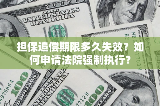 武汉担保追偿期限多久失效？如何申请法院强制执行？