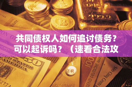 武汉共同债权人如何追讨债务？可以起诉吗？（速看合法攻略）