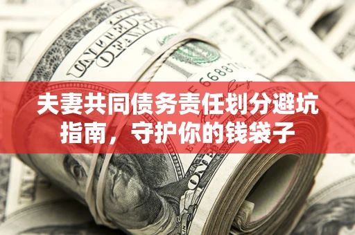 武汉夫妻共同债务责任划分避坑指南，守护你的钱袋子