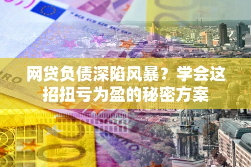 武汉网贷负债深陷风暴？学会这招扭亏为盈的秘密方案